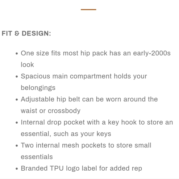 The North Face Hip Bag - Picture 13 of 16